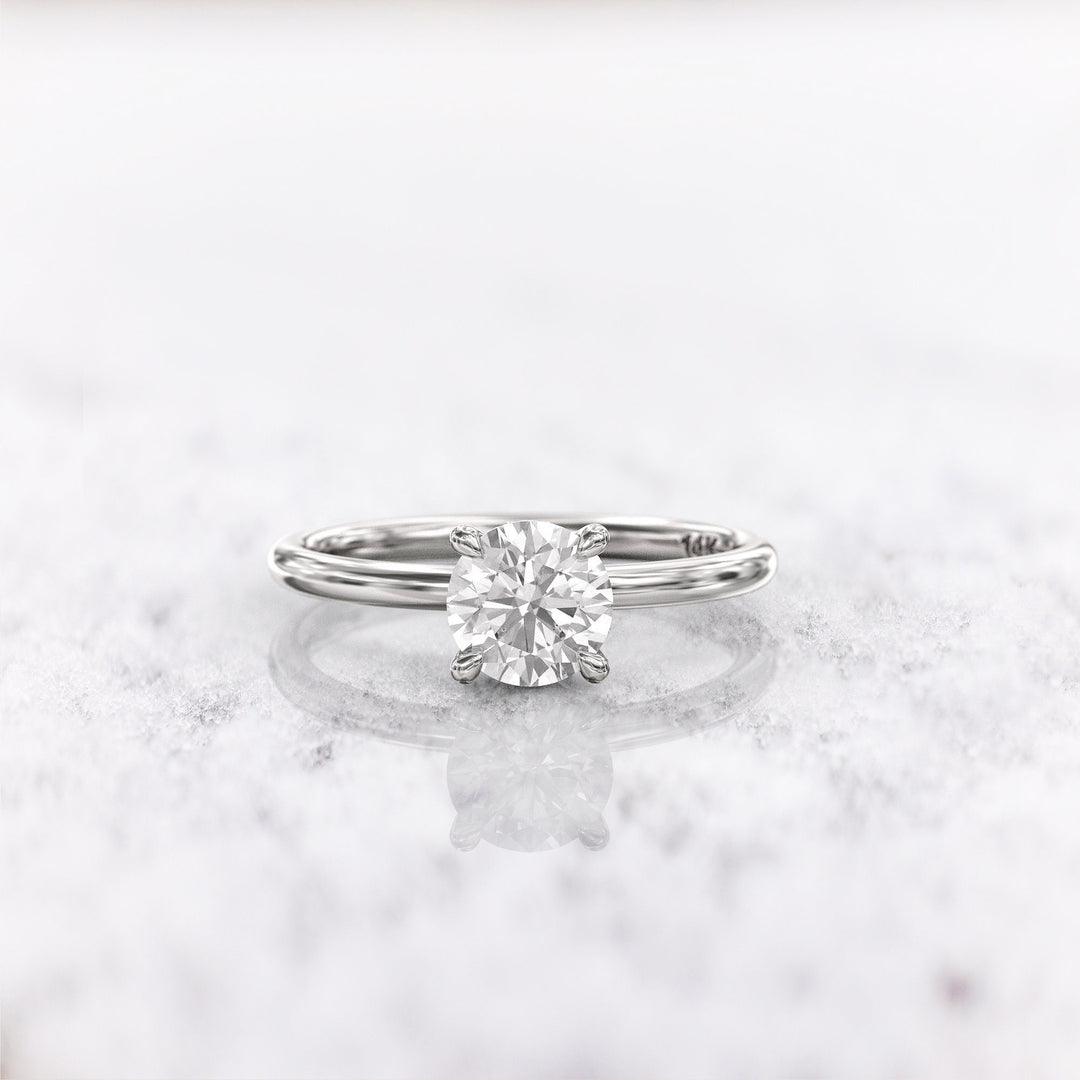 1.0 CT Round Cut Moissanite Hidden Halo Diamond Engagement Ring